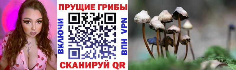 купить закладку  маркетплейс наркотические препараты  Псилоцибиновые грибы Psilocybe  Тобольск 